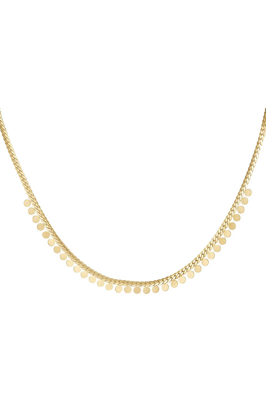 Coins ketting